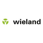 https://www.wieland-electric.ch/fr/